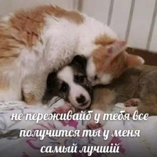 🫂