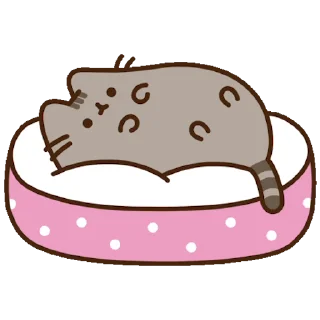 🐈