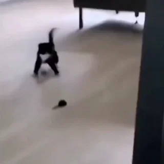 🤩