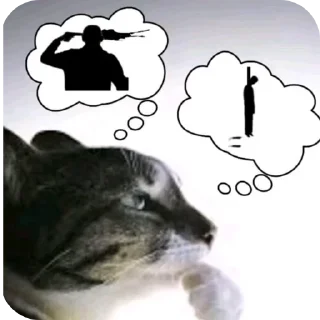 🐱
