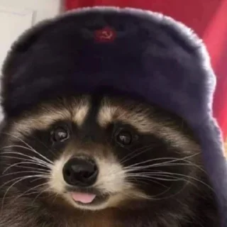 💂