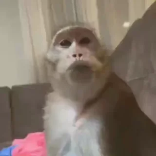 🧐