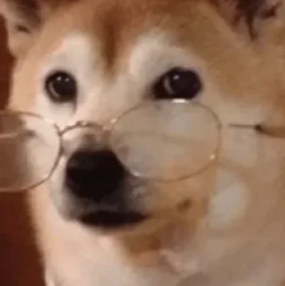 🧐