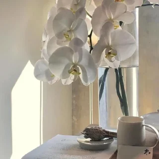 🤍