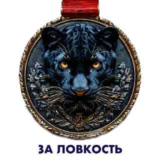 🐈‍⬛