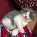 😊
