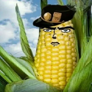 🌽