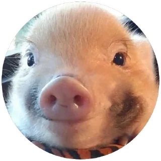 😊