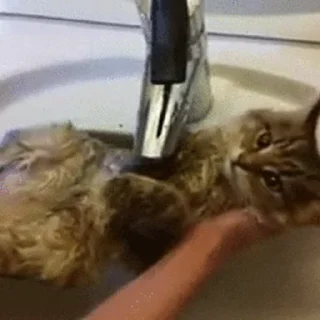 🛁