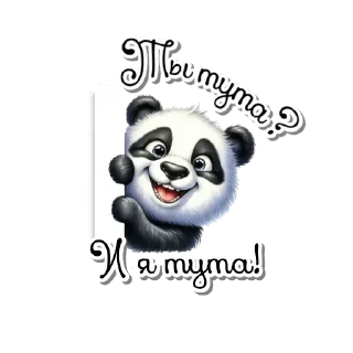 😎
