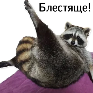 👏