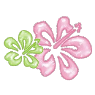 🌺