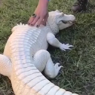 🥰