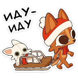 🌟