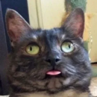 🙂