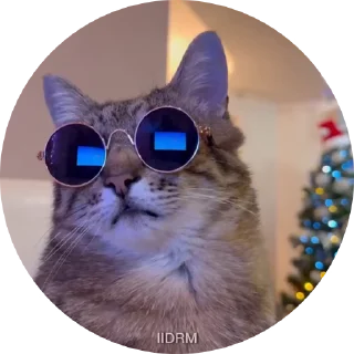 😎