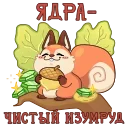 🐿