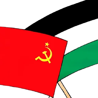🇵🇸