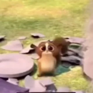 mort madagascar :: @fStikBot