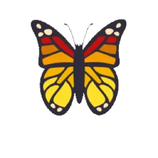 🦋