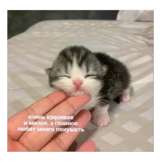 🥰