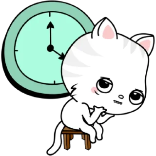 🐱