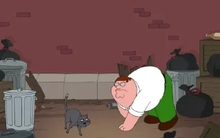 😾