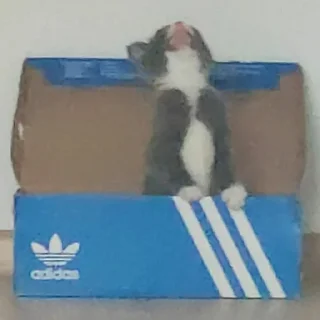 😭