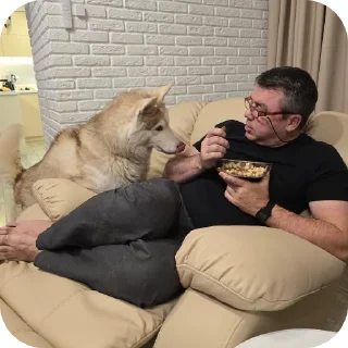 🐶
