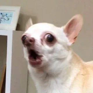 🫠