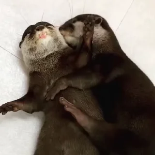 🤗