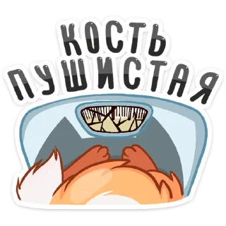 🙈
