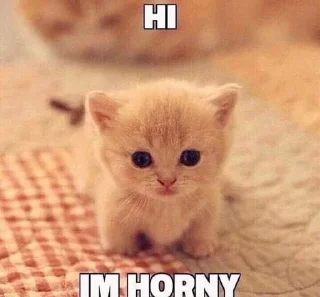 👋
