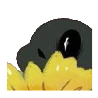 😳