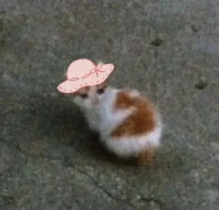 😭