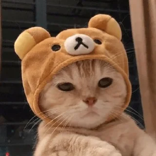 😑