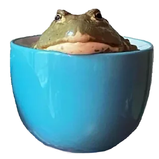🐸