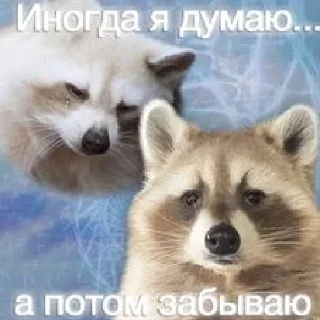 🫥