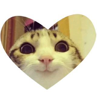 🙂