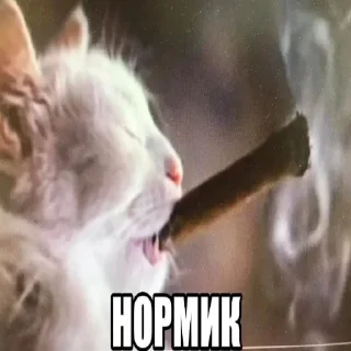 👍