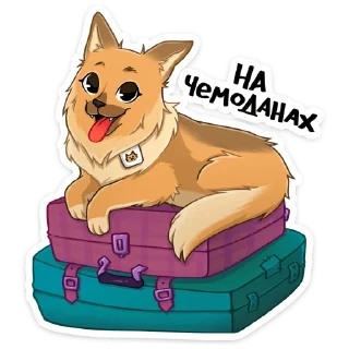 💼