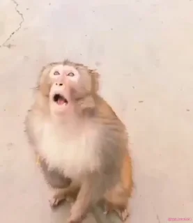 😱