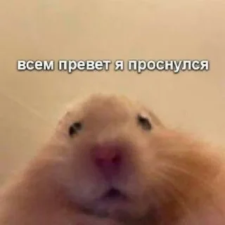 😄