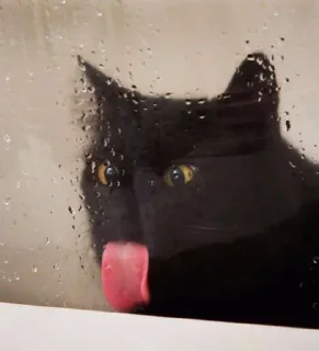 😜