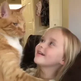 🐈