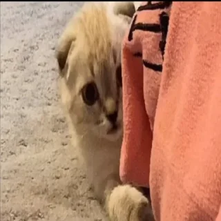 🤭