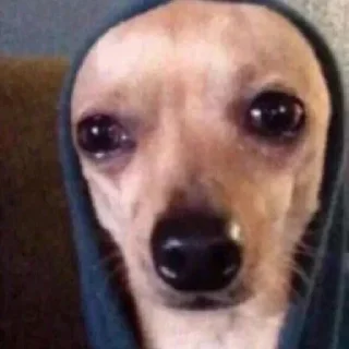 🥺
