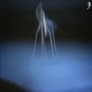 🕺