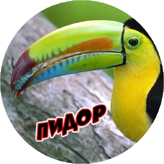 Angry @stickersb2b