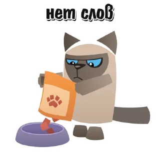 🐱